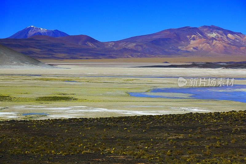 Salar de Talar和Miniques火山-绿松石湖反射和田园般的阿塔卡马沙漠，火山景观全景-圣佩德罗阿塔卡马，智利，Bolívia和阿根廷边境